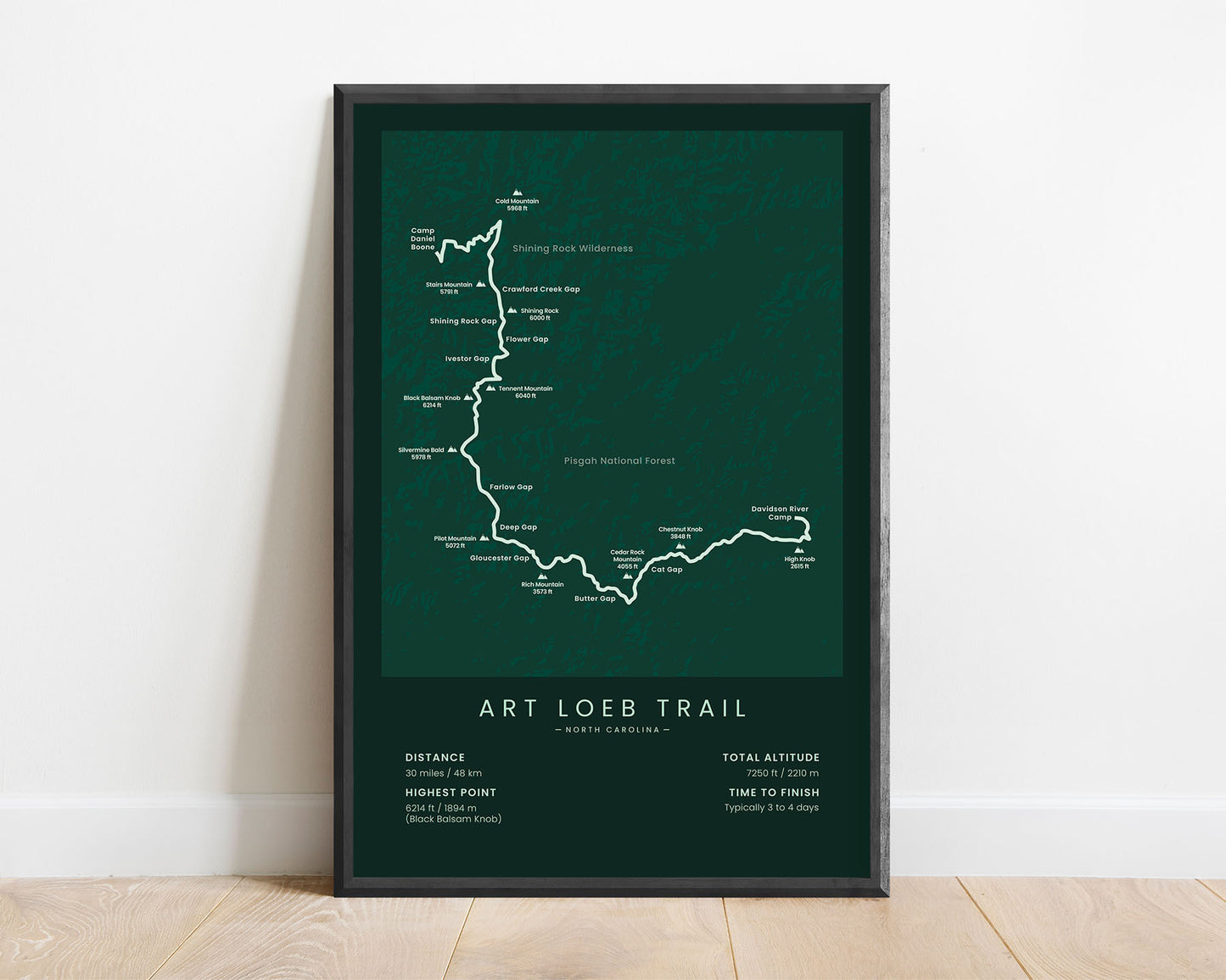 Art Loeb Trail (Pisgah National Forest) Path Wall Art with Green Background