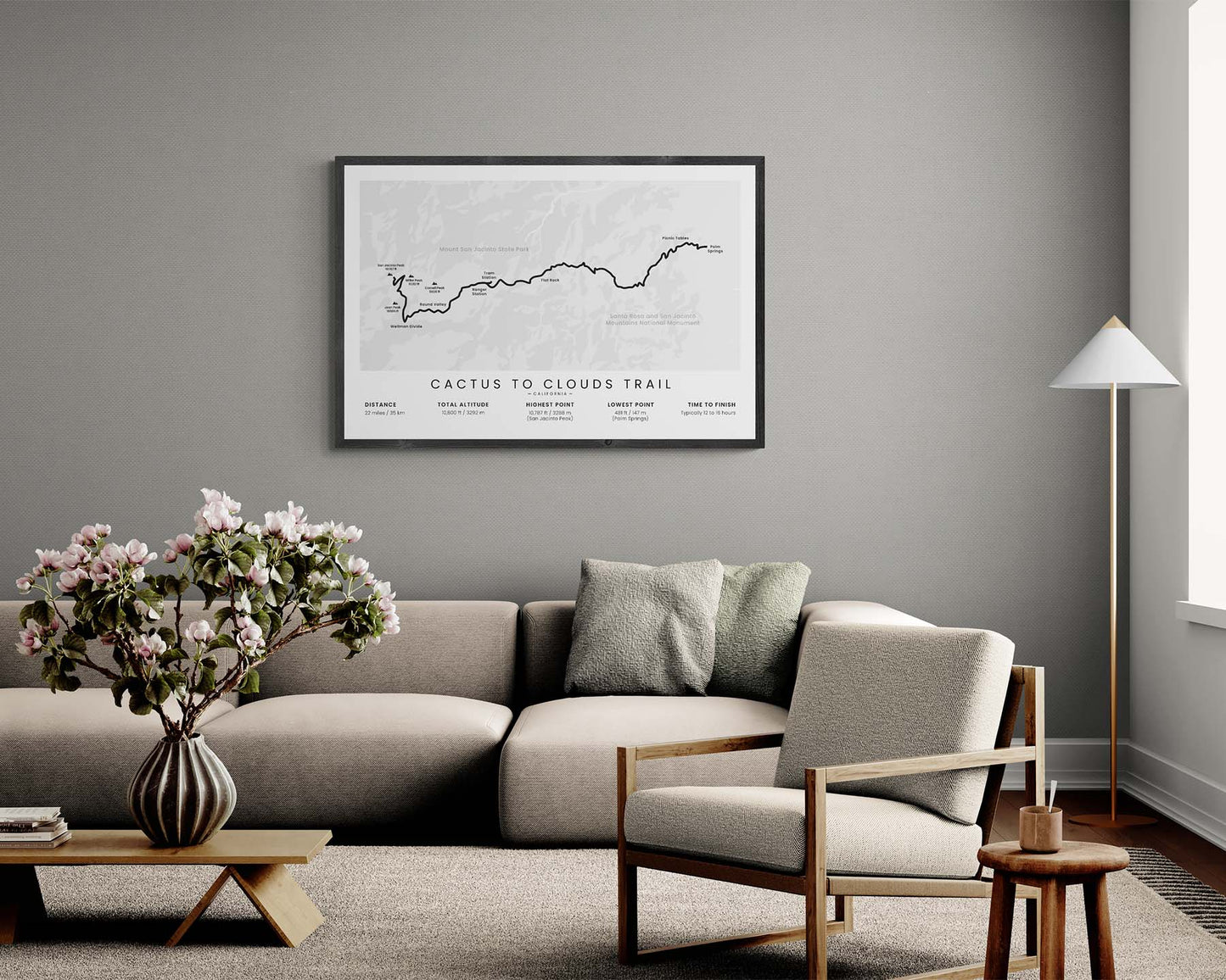 Cactus to Clouds Hike (United States) Trail Map Art in Modern Interior Decor