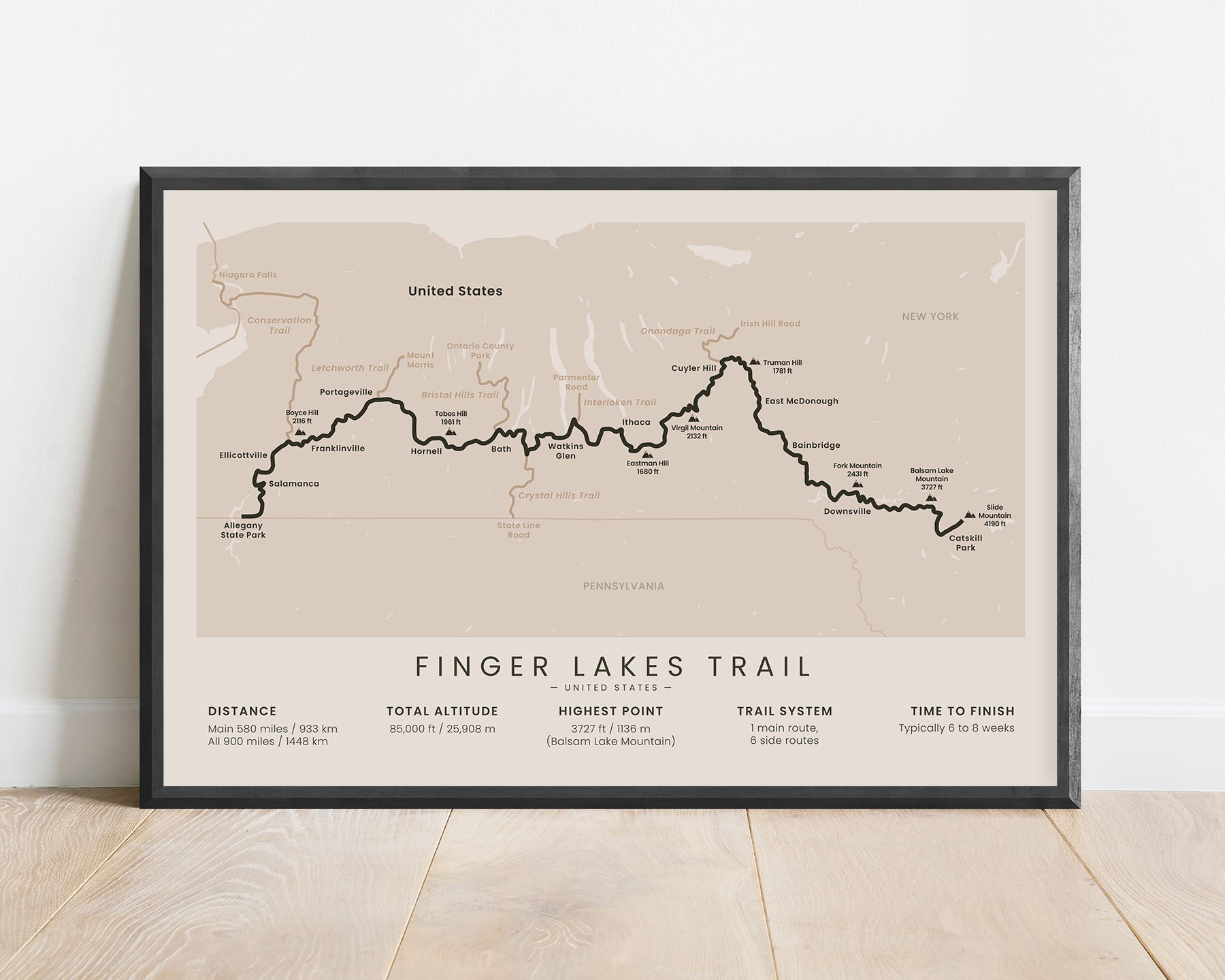 FLT (USA) Hike Print with Beige Background