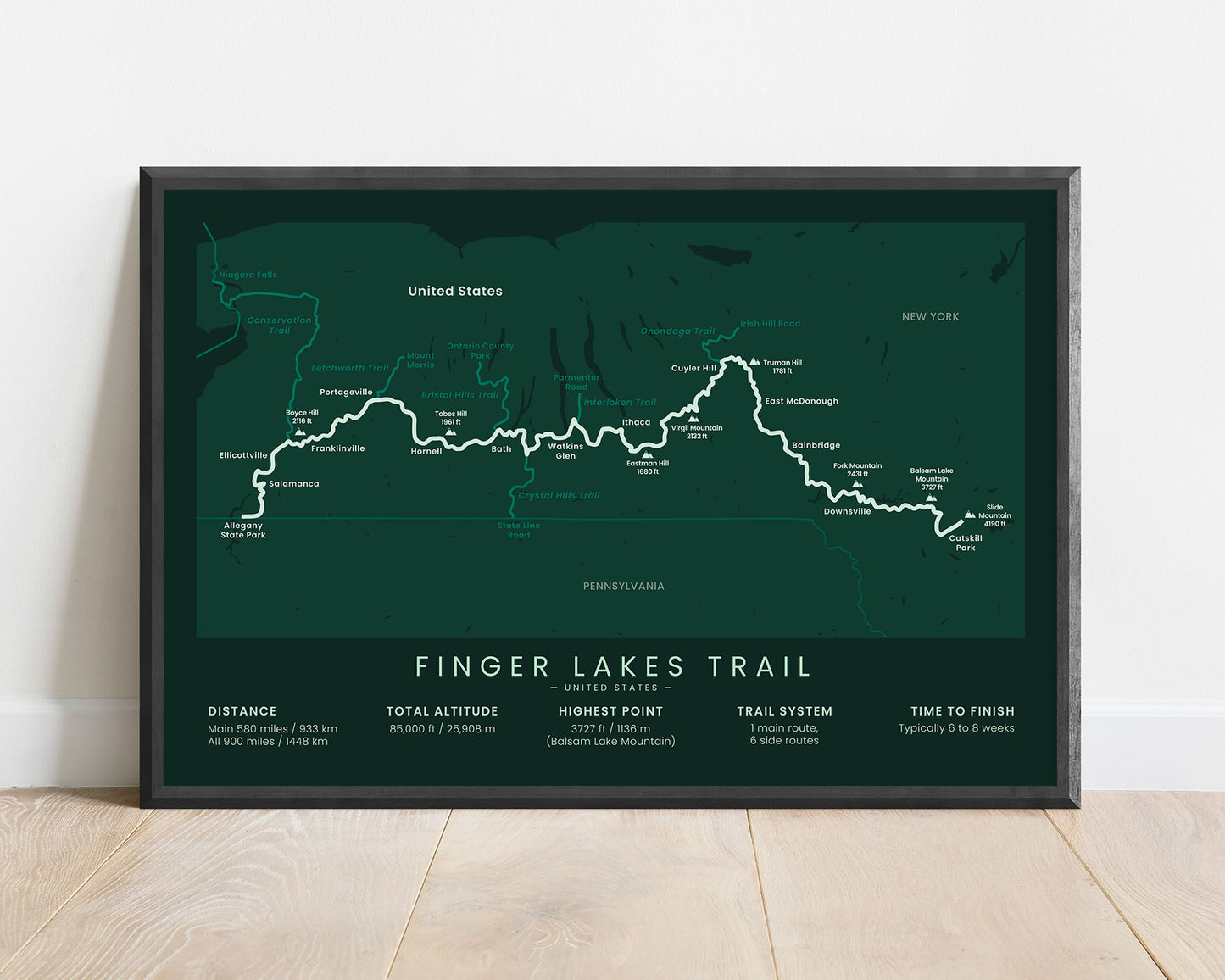 Finger Lakes Trail (New York) Path Wall Art with Green Background