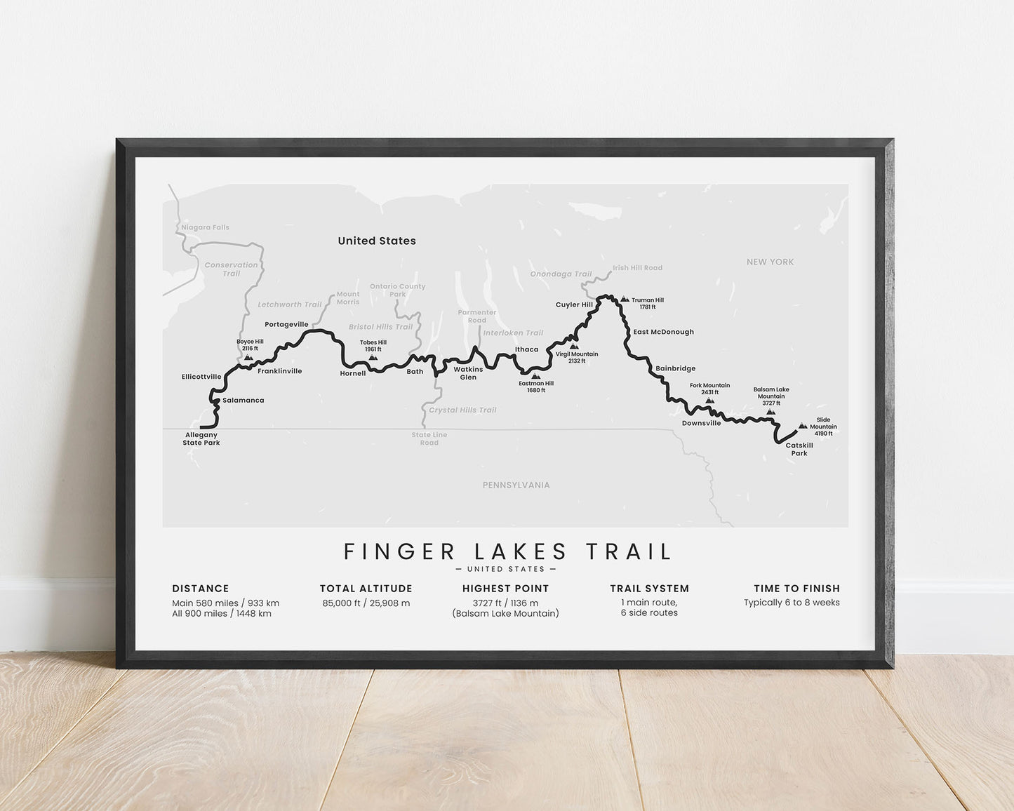 Finger Lakes Trail (New York) Route Wall Map with White Background