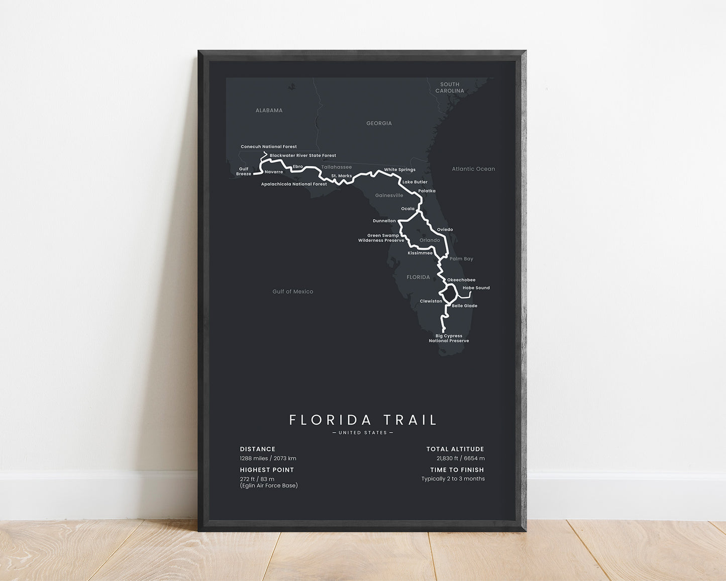 Florida Trail (United States) Hike Wall Art with Black Background
