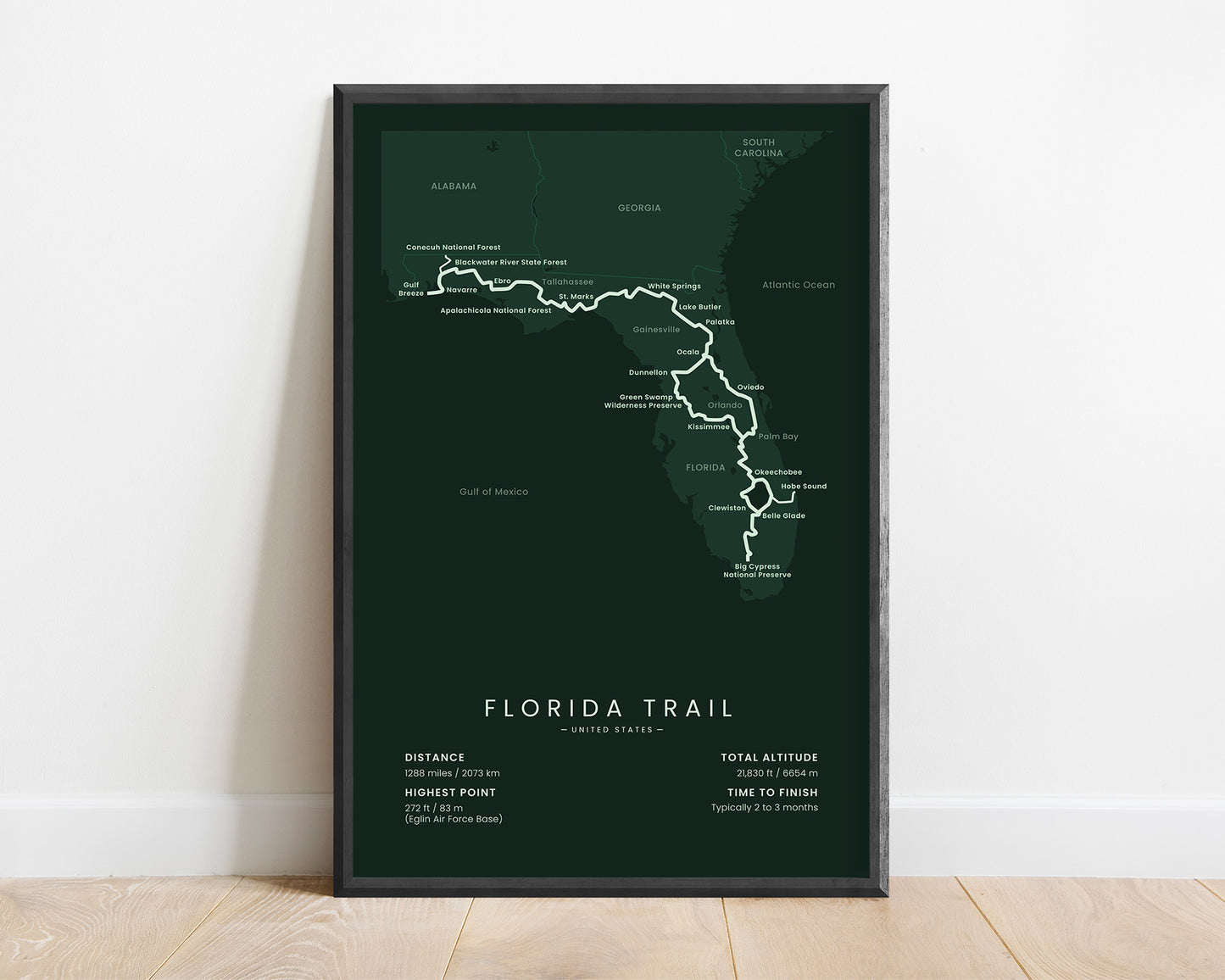 Florida Trail (United States) Thru-Hike Map Art with Green Background