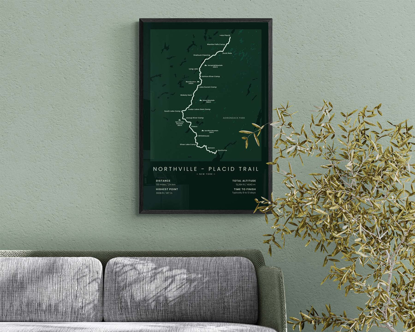 Northville - Placid Trail (United States, Adirondack Mountains, Northville to Lake Placid, Adirondack Park, New York) Trail Print in Minimal Room Decor