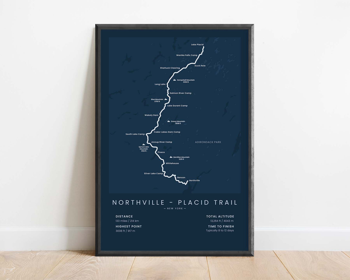 NPT (Lake Placid, United States, Adirondack Park, Northville to Lake Placid, New York, Adirondack Mountains) Path Print with Blue Background