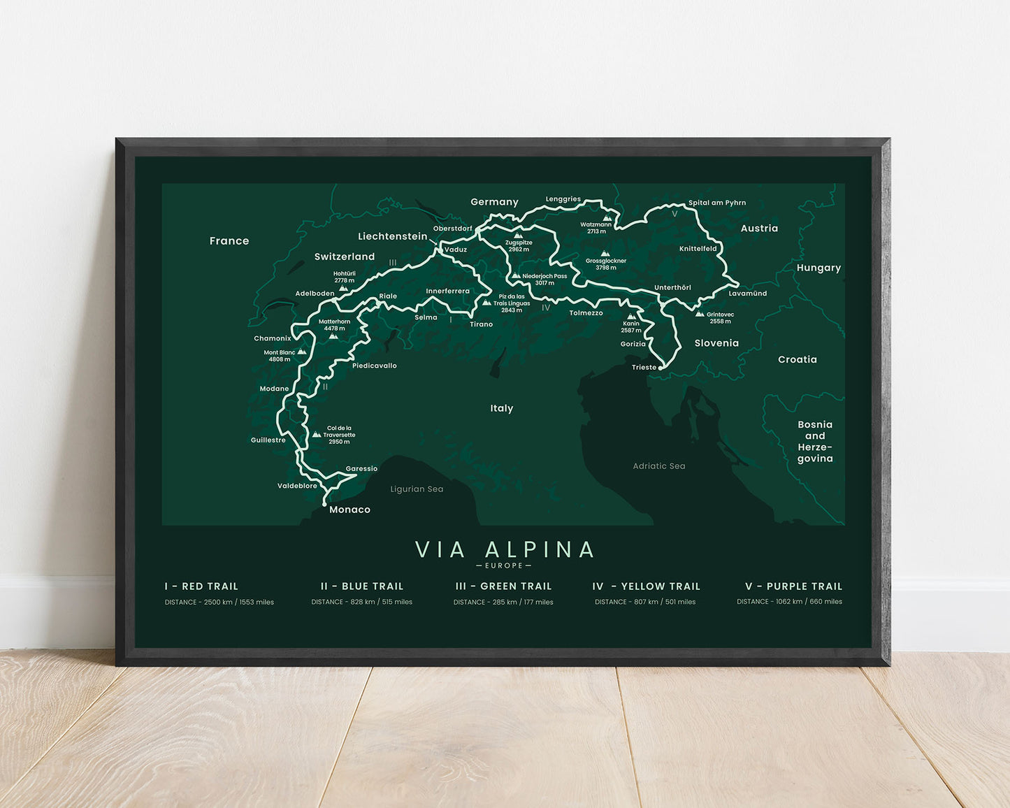 Via Alpina (Germany) Thru-hike wall map with green background