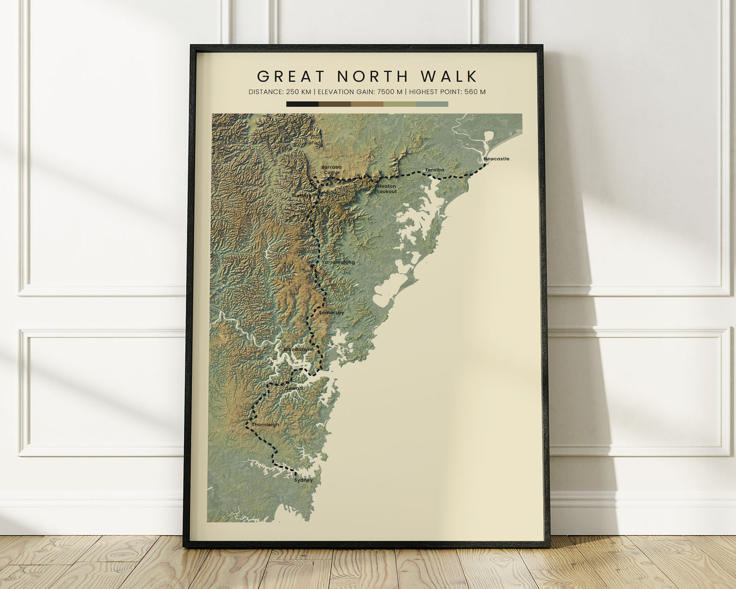 The Great North Walk (Australia) Path Wall Decor Shaded Relief Map with Realistic Green Background