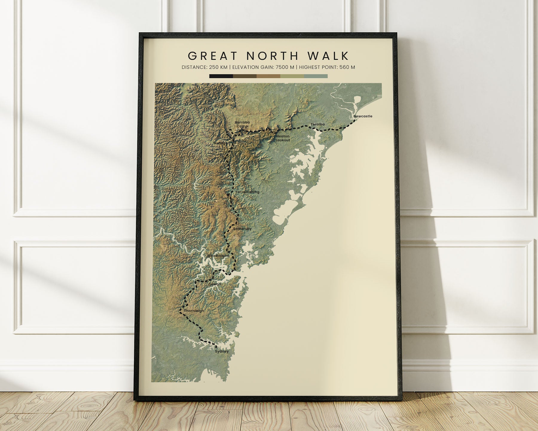 The Great North Walk (Australia) Path Wall Decor Shaded Relief Map with Realistic Green Background