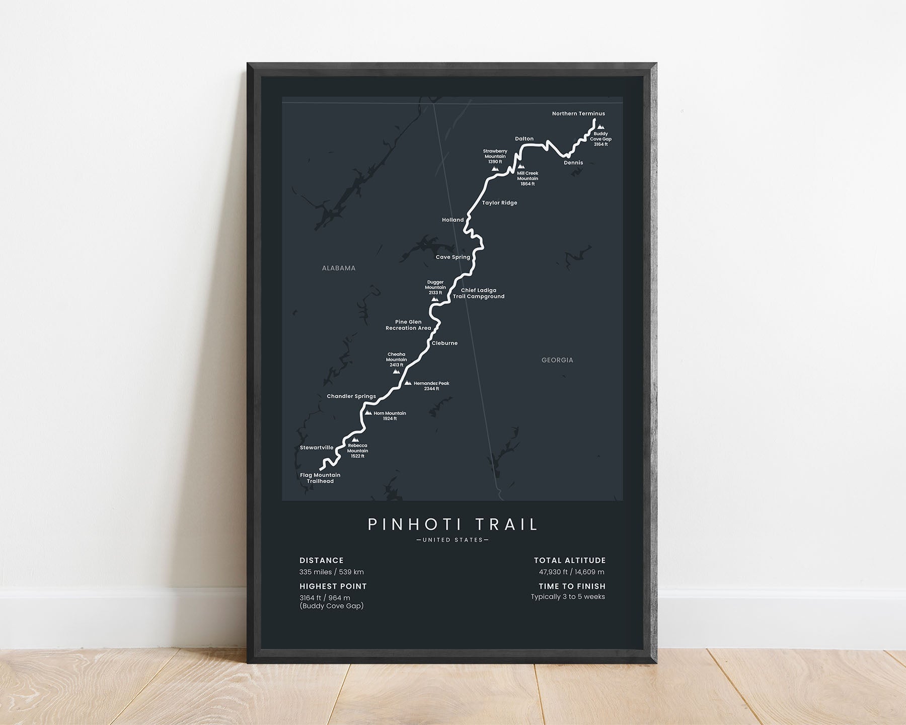 Pinhoti Trail (Georgia) Map Poster with black background