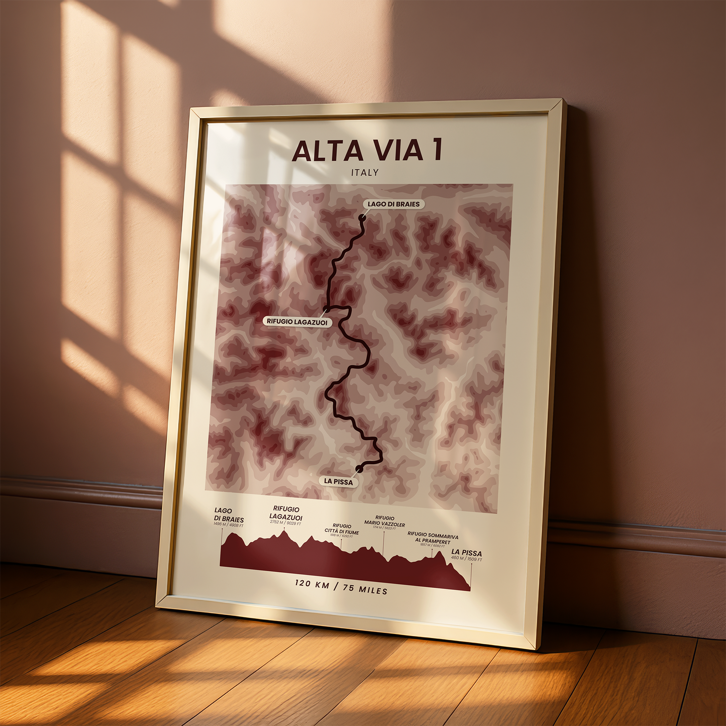 Alta Via 1 (Dolomites) Contour Map Wall Decor with Red Background