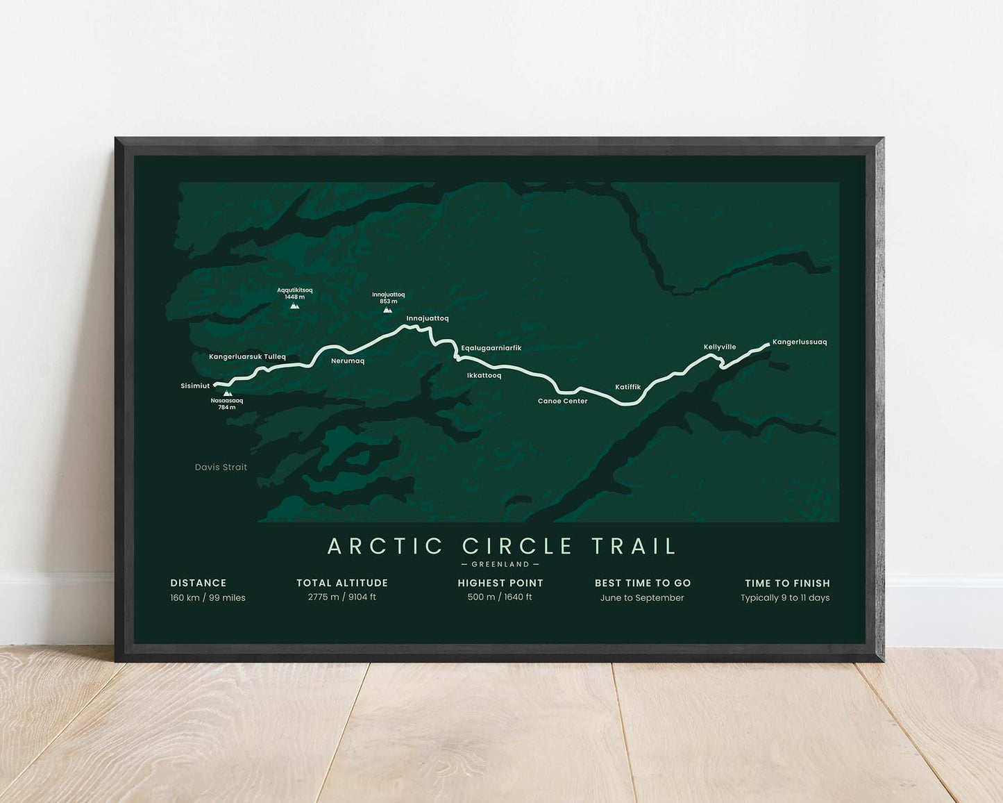 Arctic Circle Trail (Sisimiut, Kangerlussuaq, Greenland) Path Wall Art with Green Background