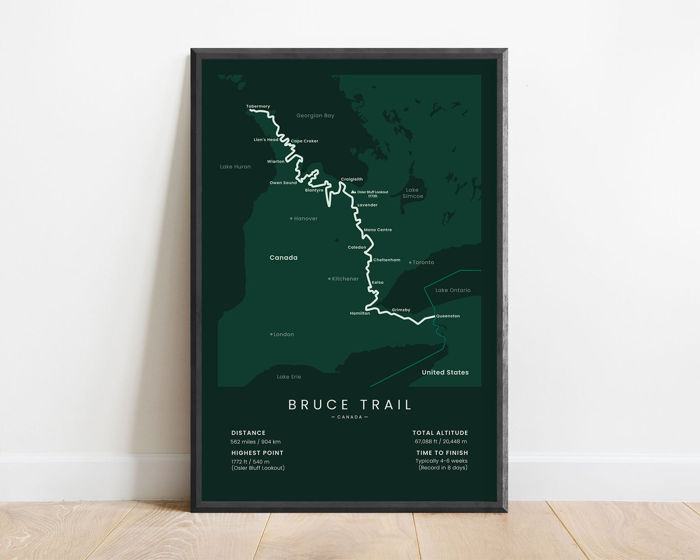 Bruce Trail (Canada) trekking path wall decor with green background
