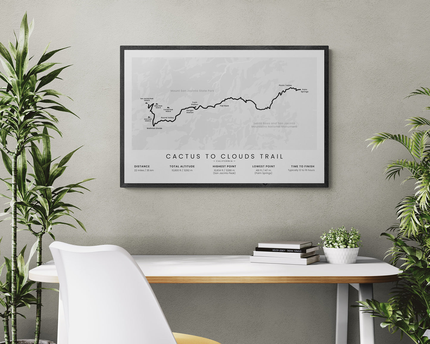 Cactus to Clouds Hike (United States) Trail Wall Map in Modern Interior Decor
