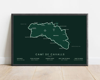 Cami De Cavalls (Menorca) Track Wall Decor with Green Background