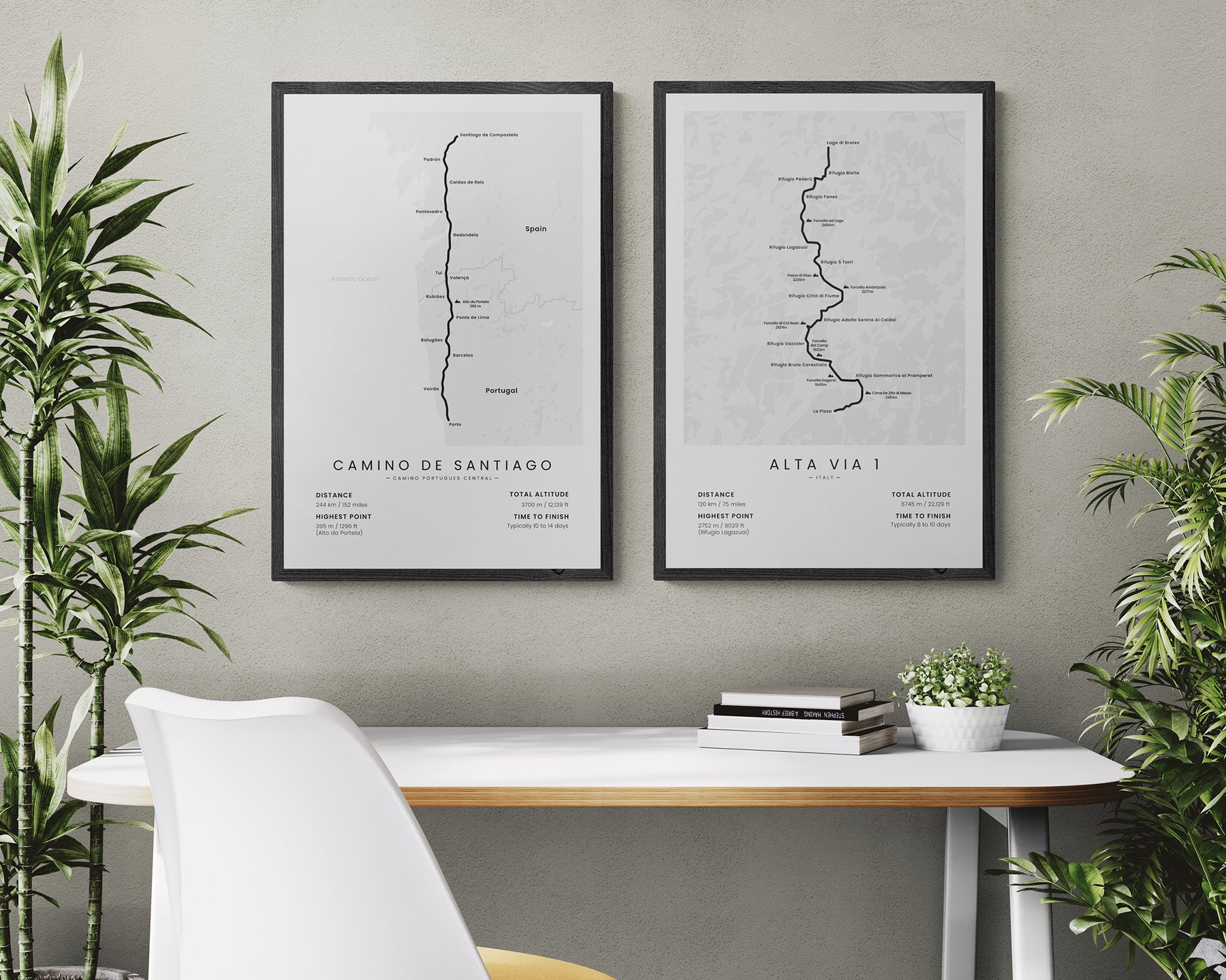 Camino de Santiago (Pilgrimage) Thru-Hike Wall Decor in Modern Interior Decor