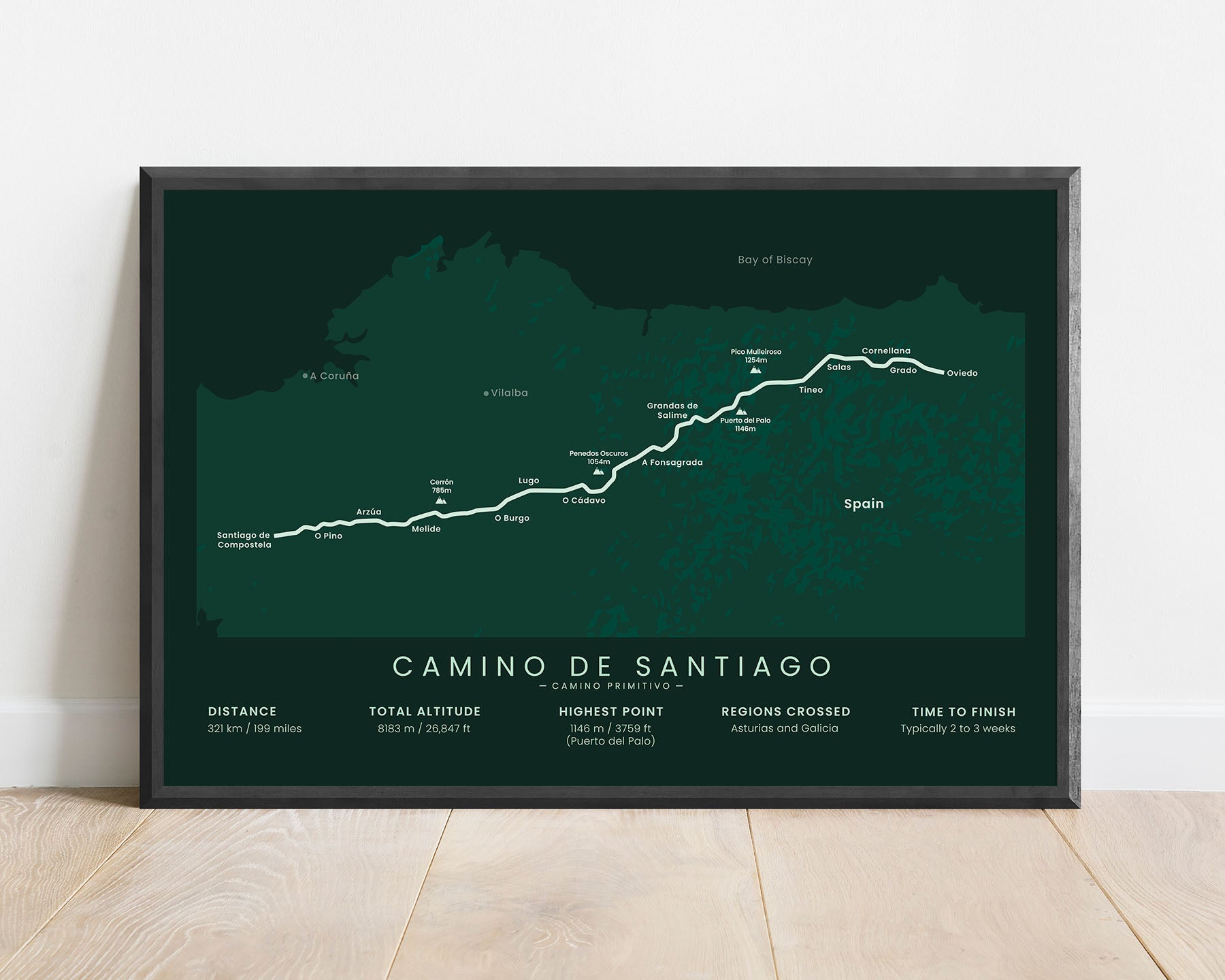Camino de Santiago (Oviedo to Santiago de Compostela) path map art with green background