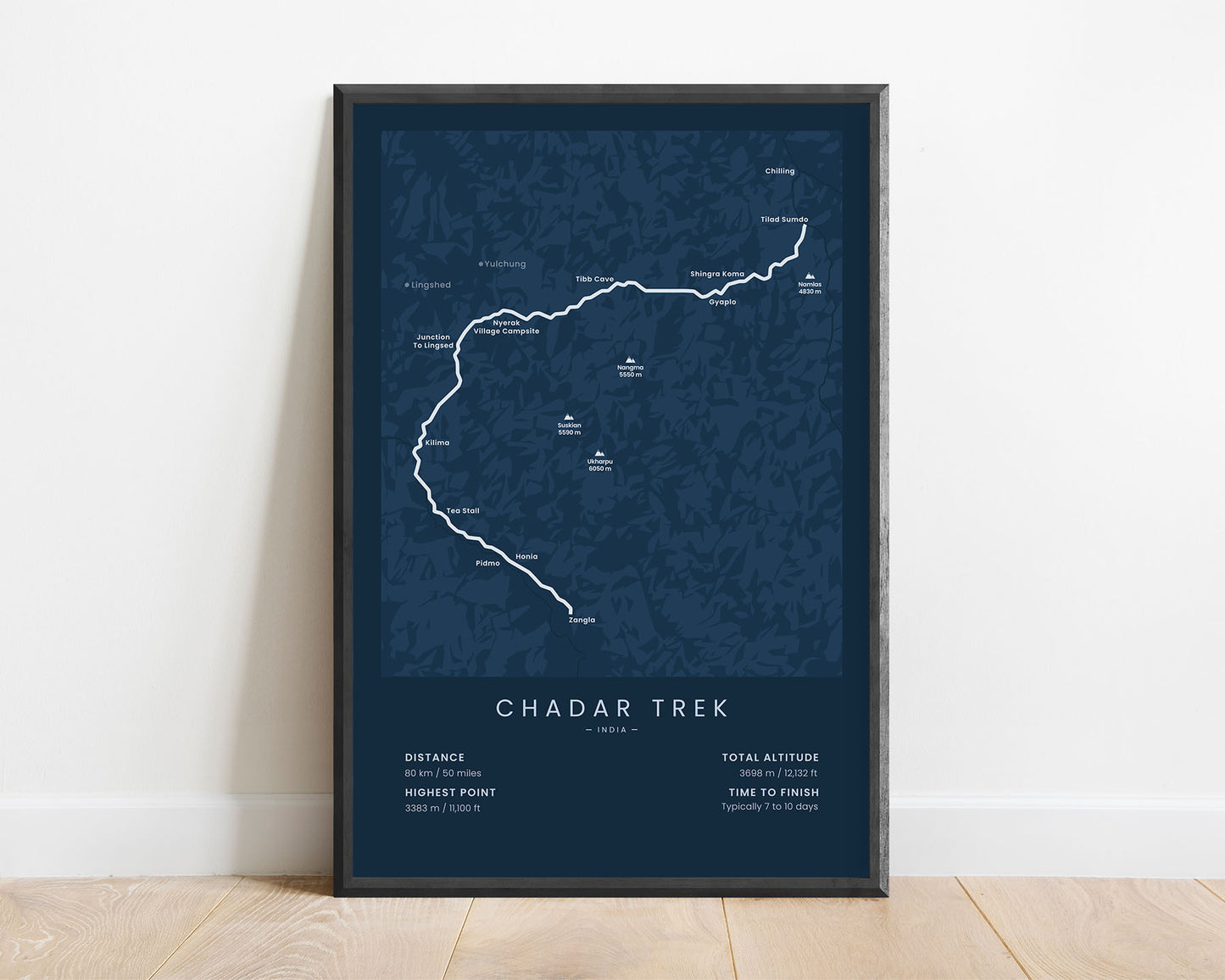 Frozen River Trek (India) path map art with blue background