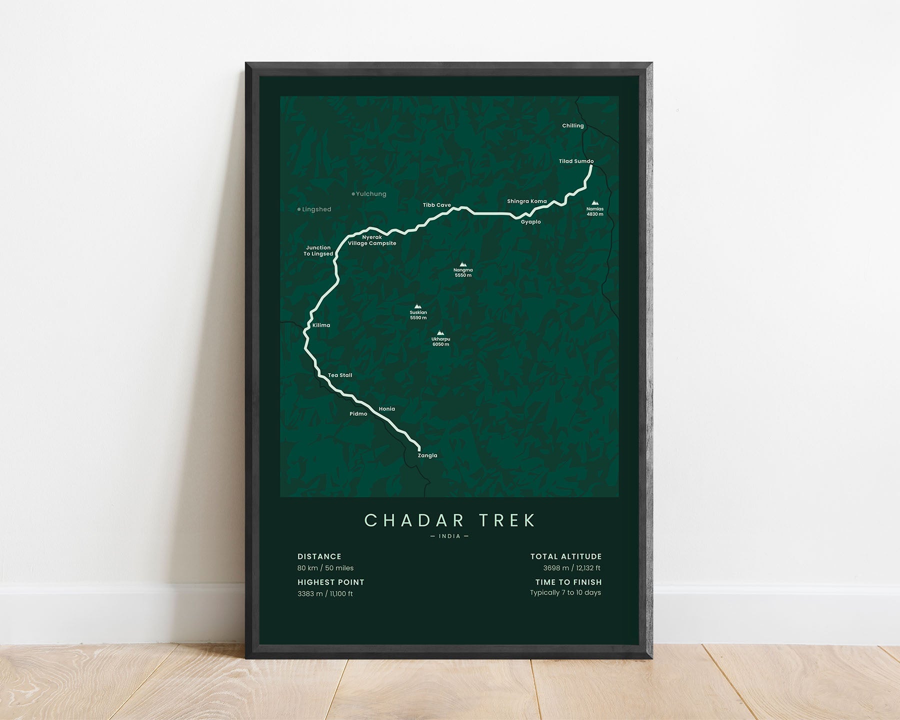 Chadar Trek (Zanskar River) track poster with green background