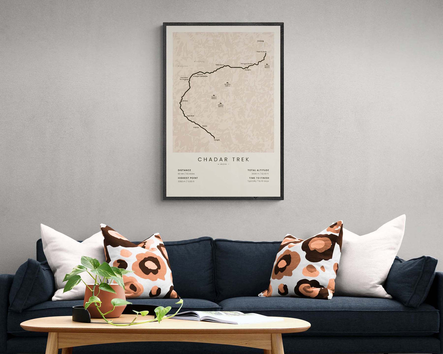 Frozen River Trek (Himalayas) trek wall art in minimal room decor