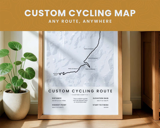 Custom bikepacking cycling map poster on a wall with a plant beside it
