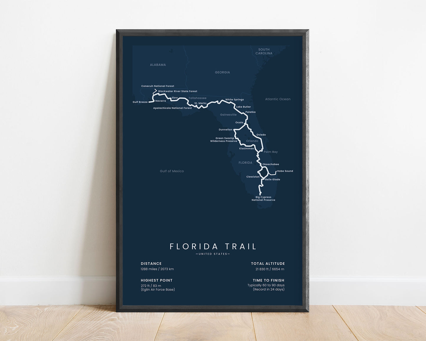 Florida National Scenic Trail thru hike wall art with blue background (in United States)
