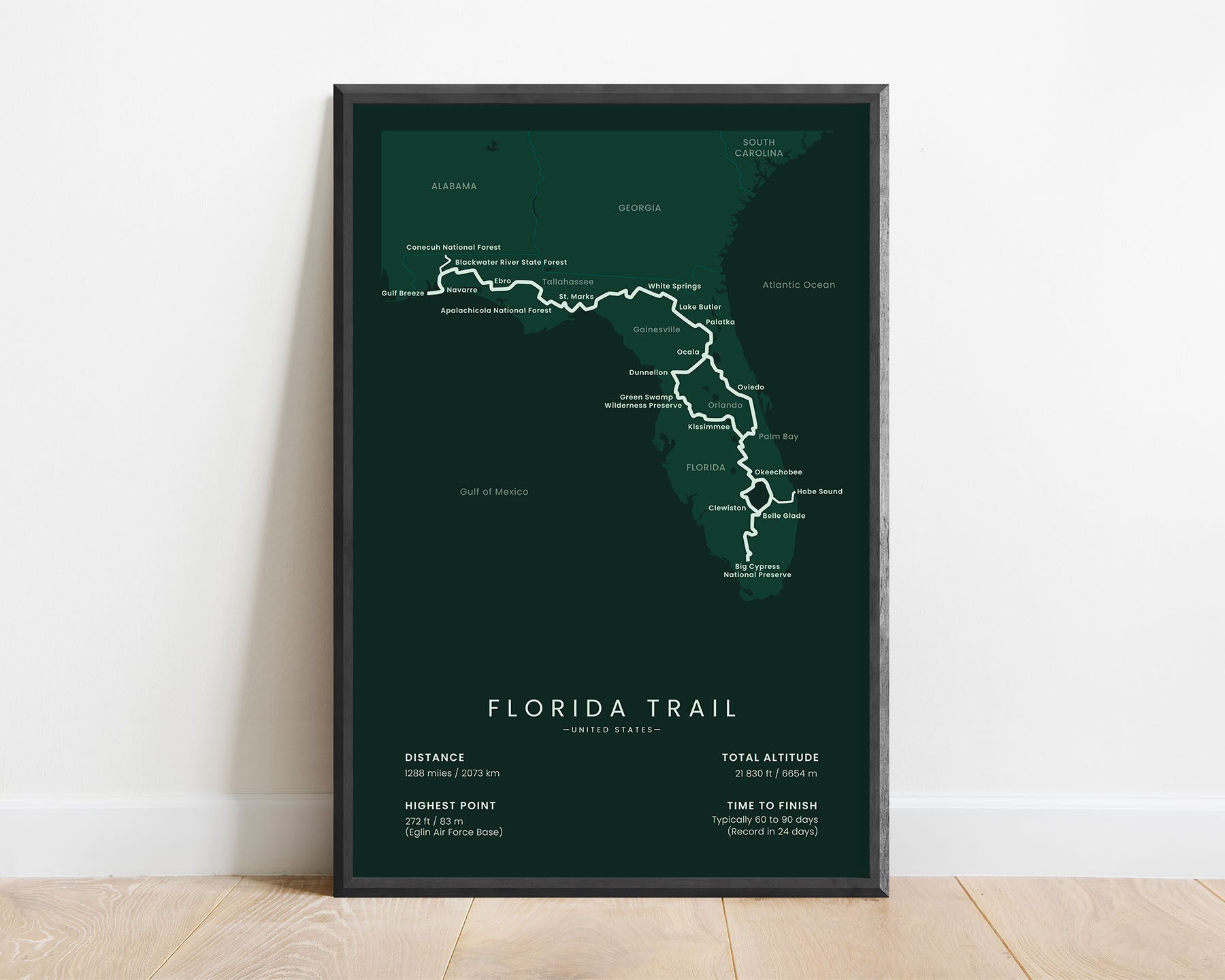 Florida Trail trail map art with green background