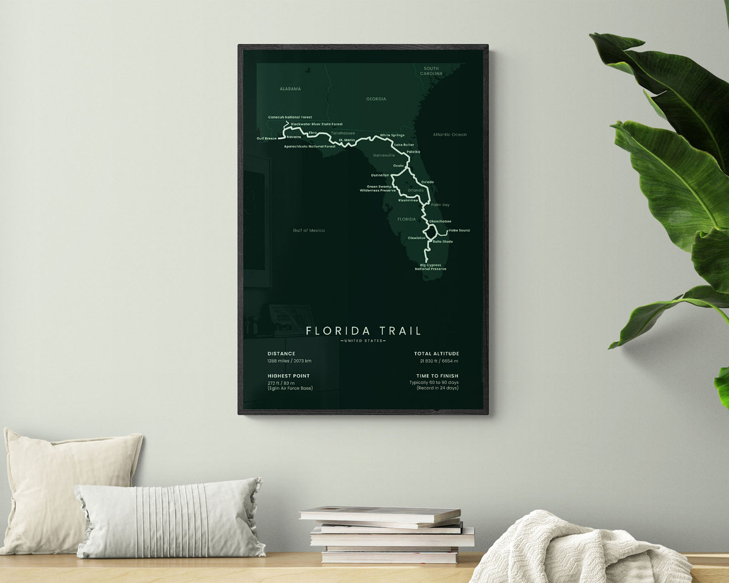 Florida National Scenic Trail path print in minimal room decor