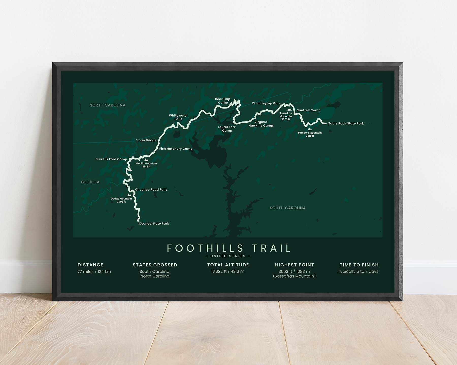 Foothills Trail (Ellicott Rock Wilderness) Path Print with Green Background in Minimal Room Decor