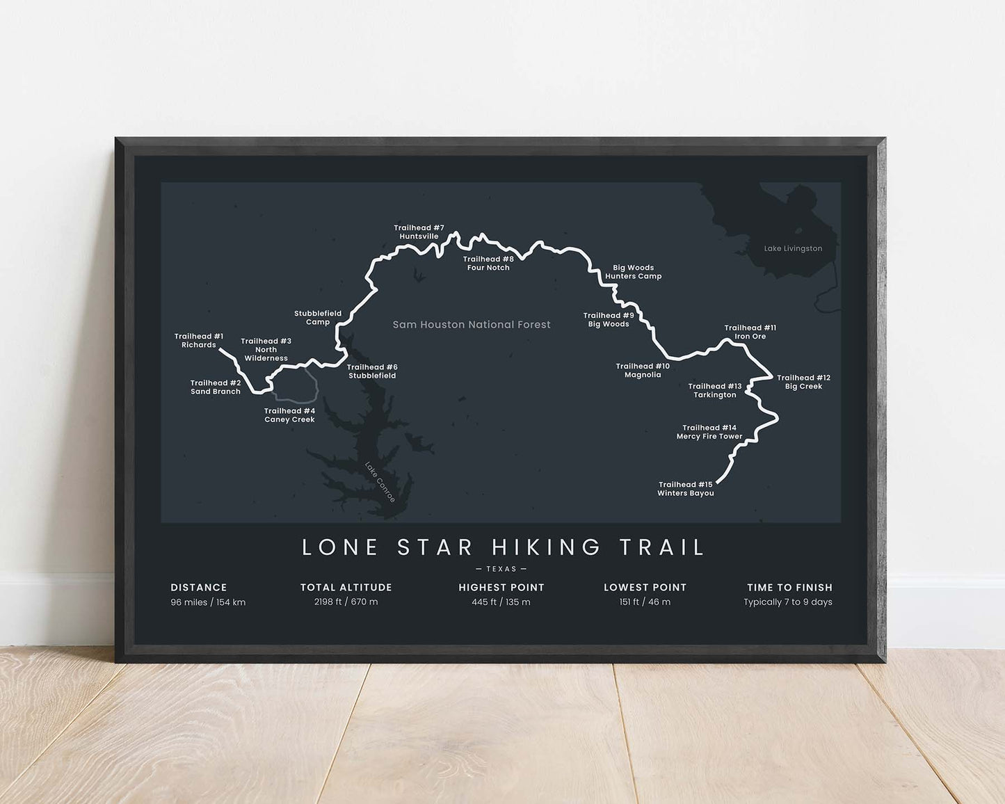 Lone Star Hiking Trail (United States) Path Map Art with Black Background