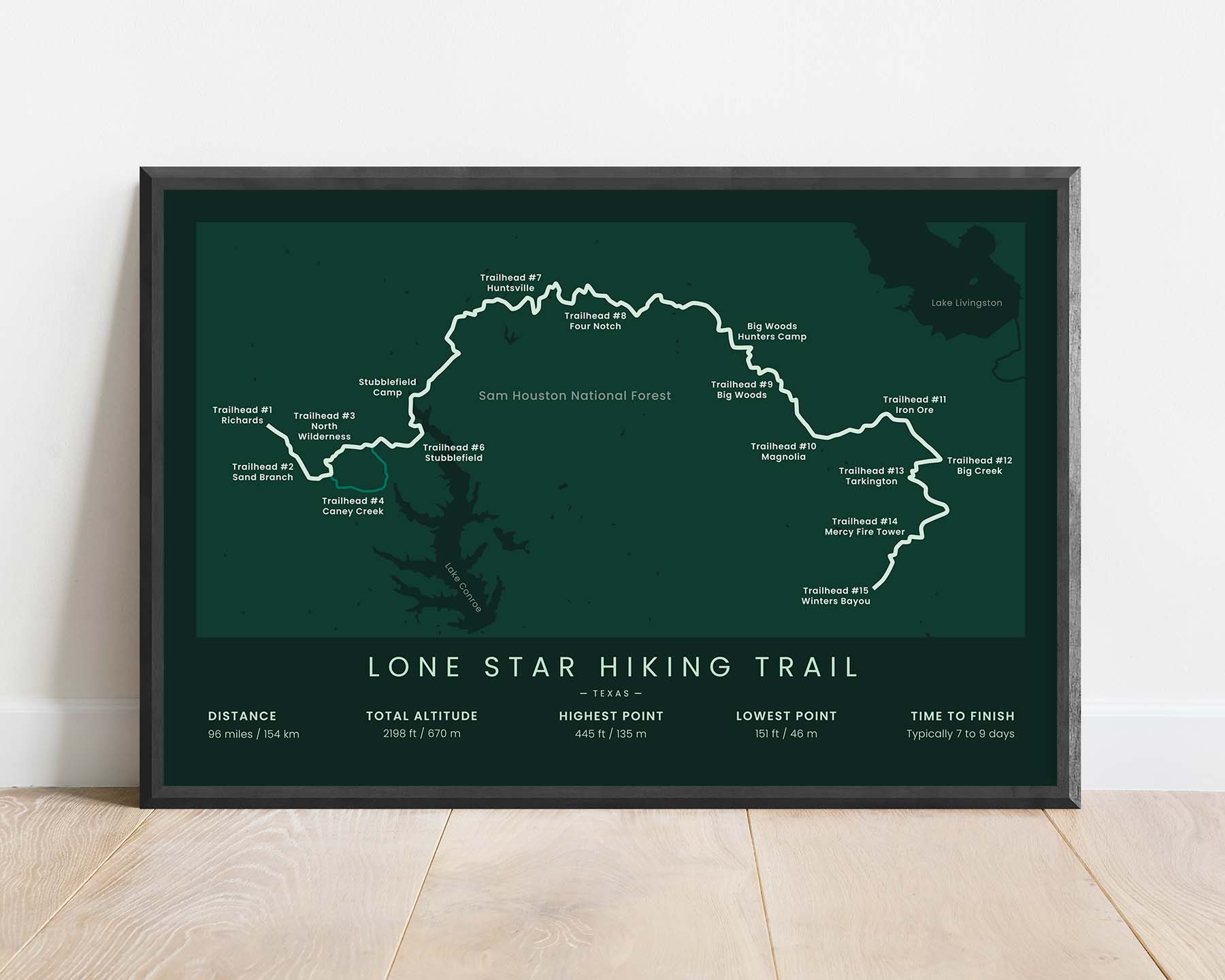 Lone Star Hiking Trail (Texas) Track Print with Green Background