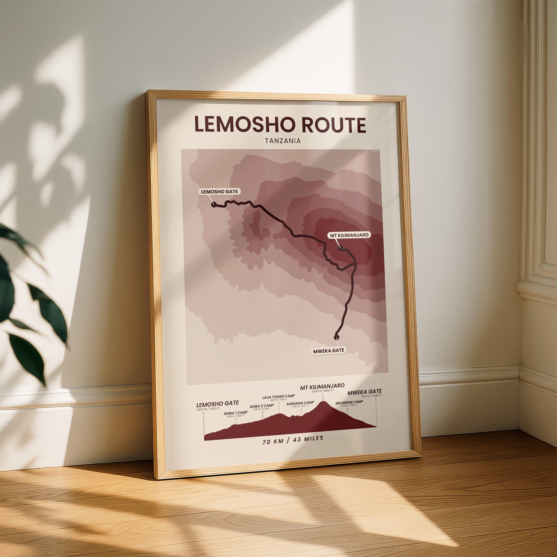 Lemosho Route (Tanzania) Elevation Map Wall Decor with Red Background