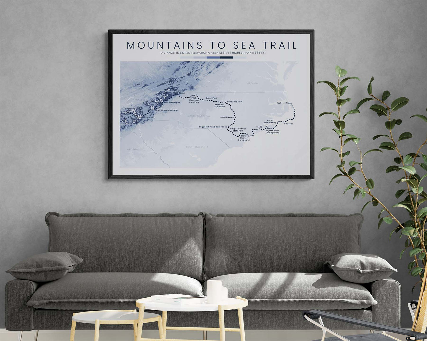 MST (North Carolina) Route Print with Contour Map in Modern Room Decor