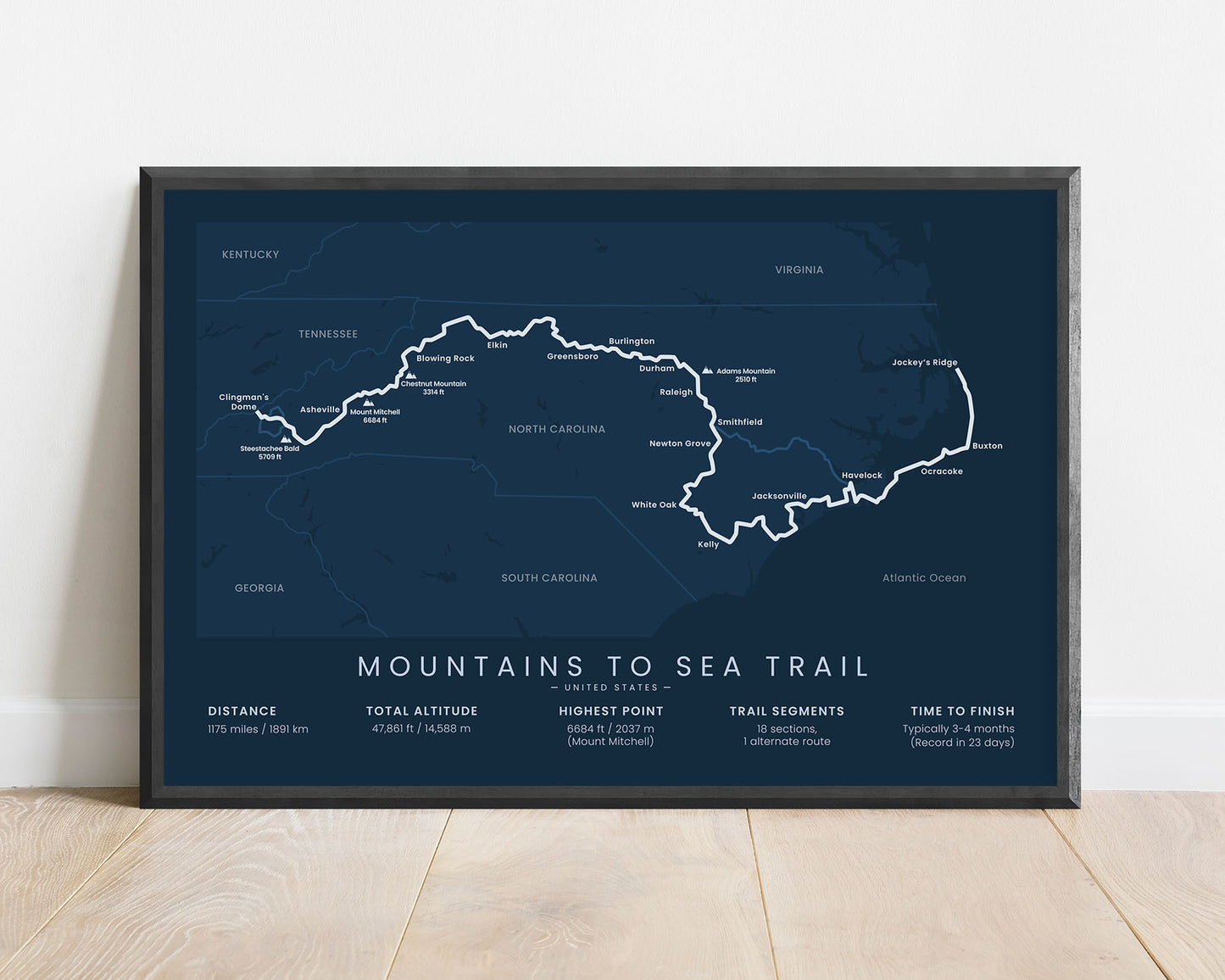 MST (Clingman's Dome to Jockey's Ridge) route art with blue background