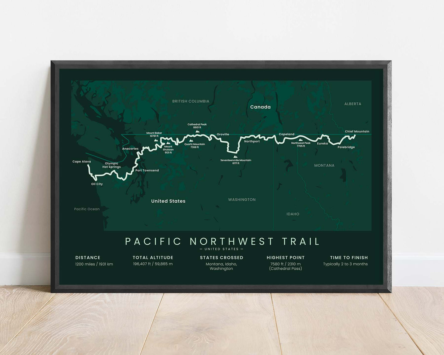 PNT (United States) Track Print with Green Background