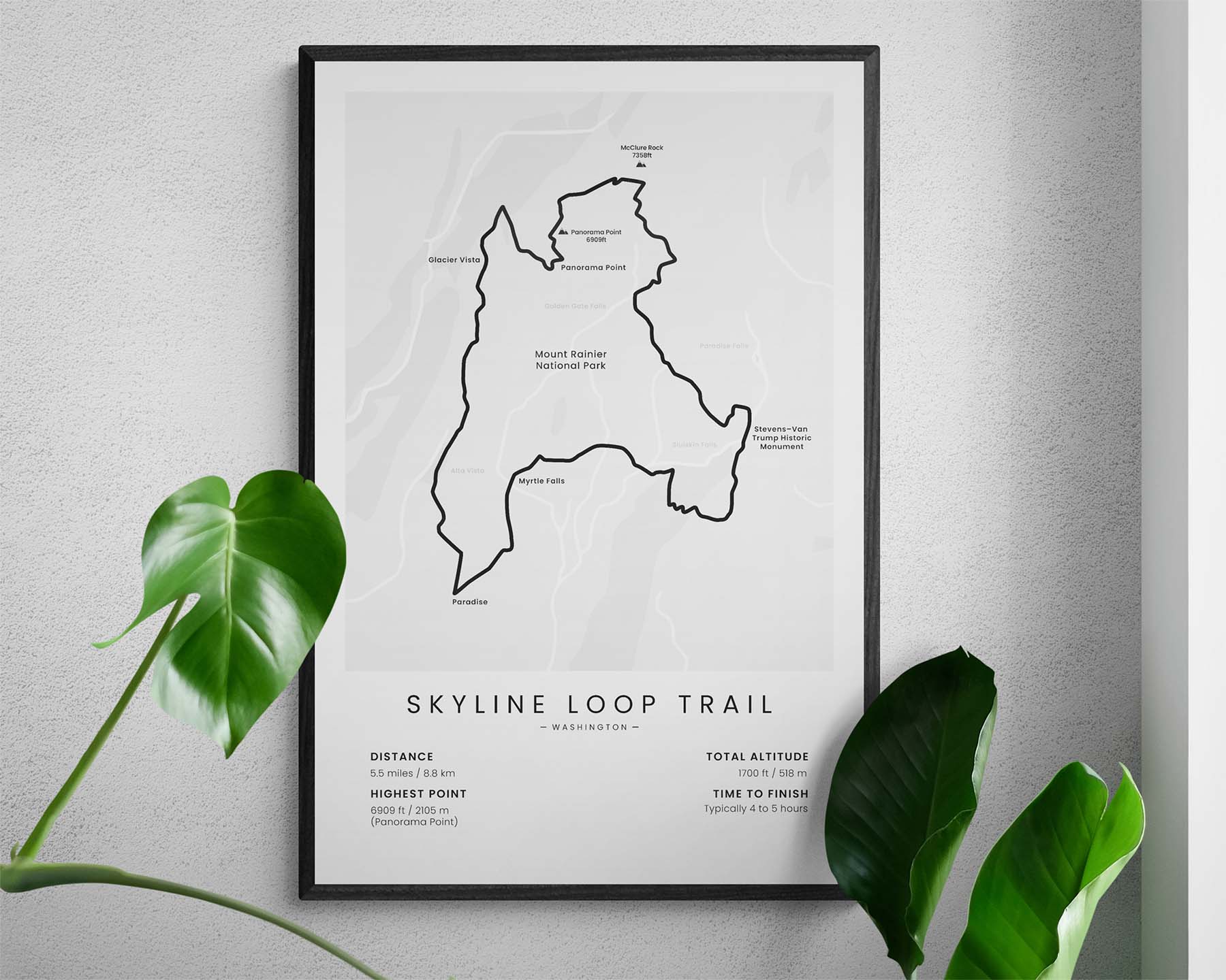 Skyline Loop (Mt Rainier National Park) Track Print in Minimal Room Decor