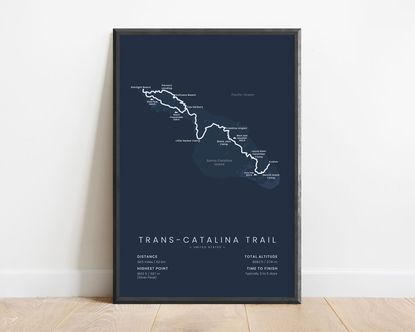 TCT (Santa Catalina Island) Track Print with Blue Background