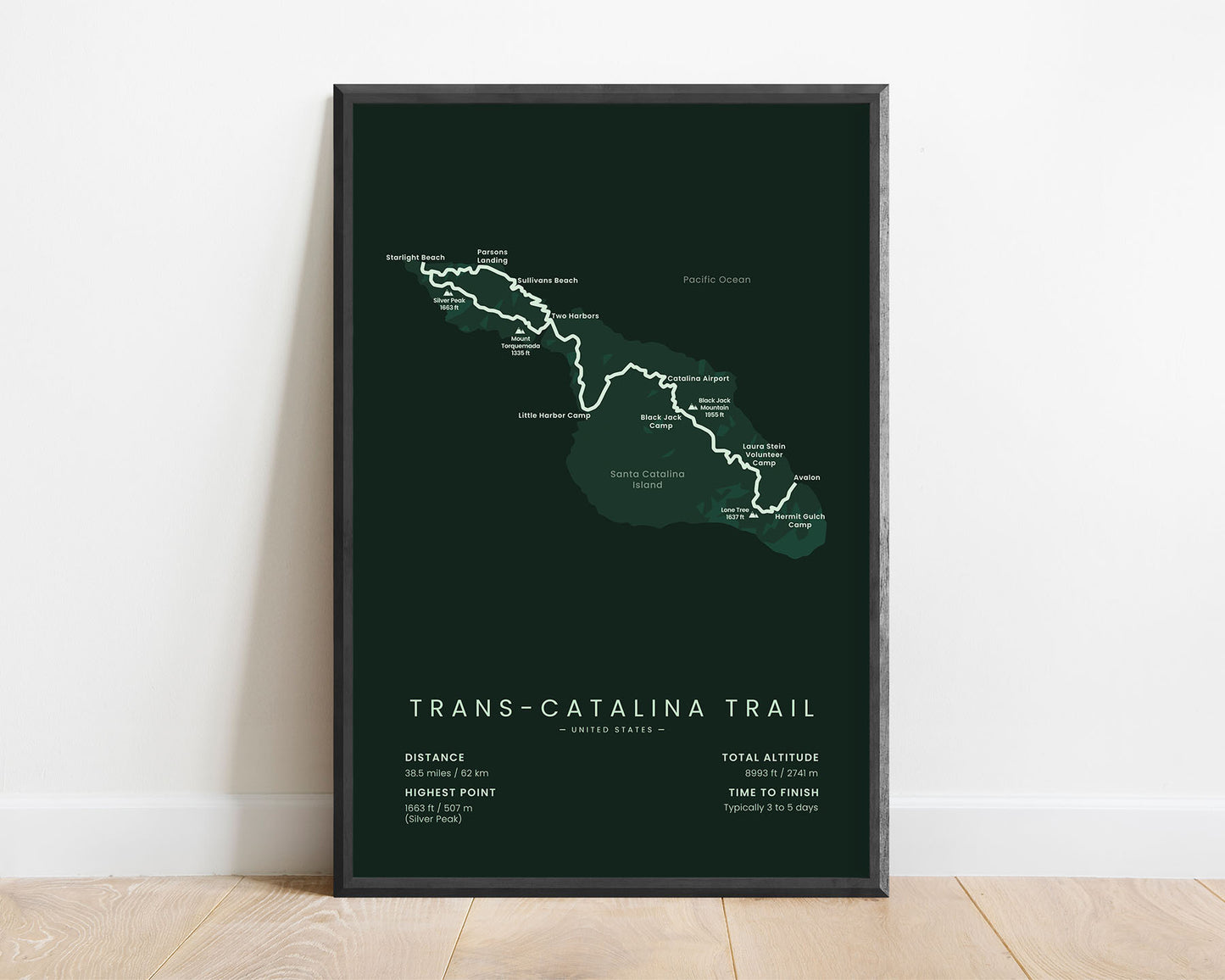 Trans-Catalina Trail (United States) Thru-Hike Map Art with Green Background