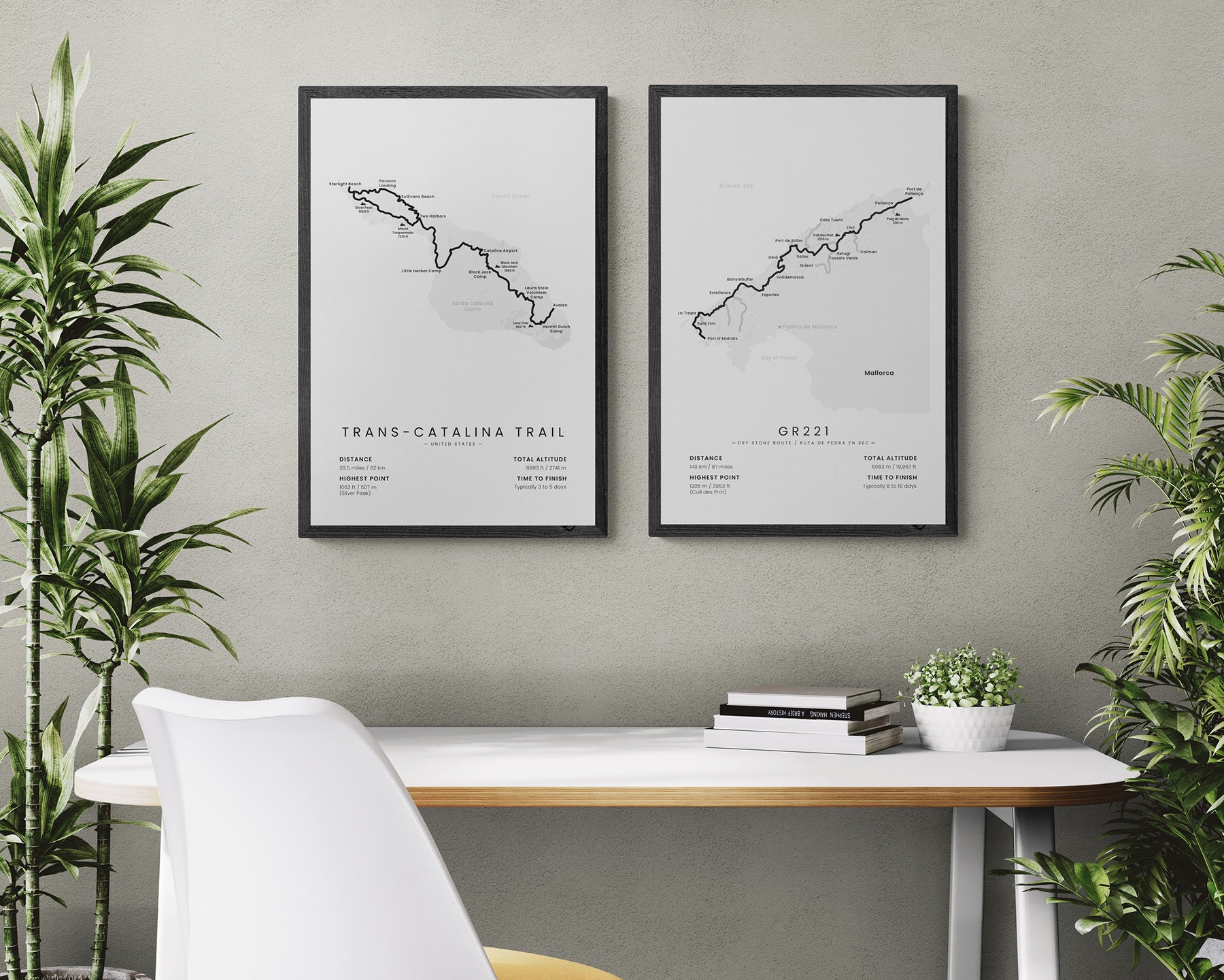 TCT (Avalon to Two Harbours) Trail Wall Decor in Modern Interior Decor