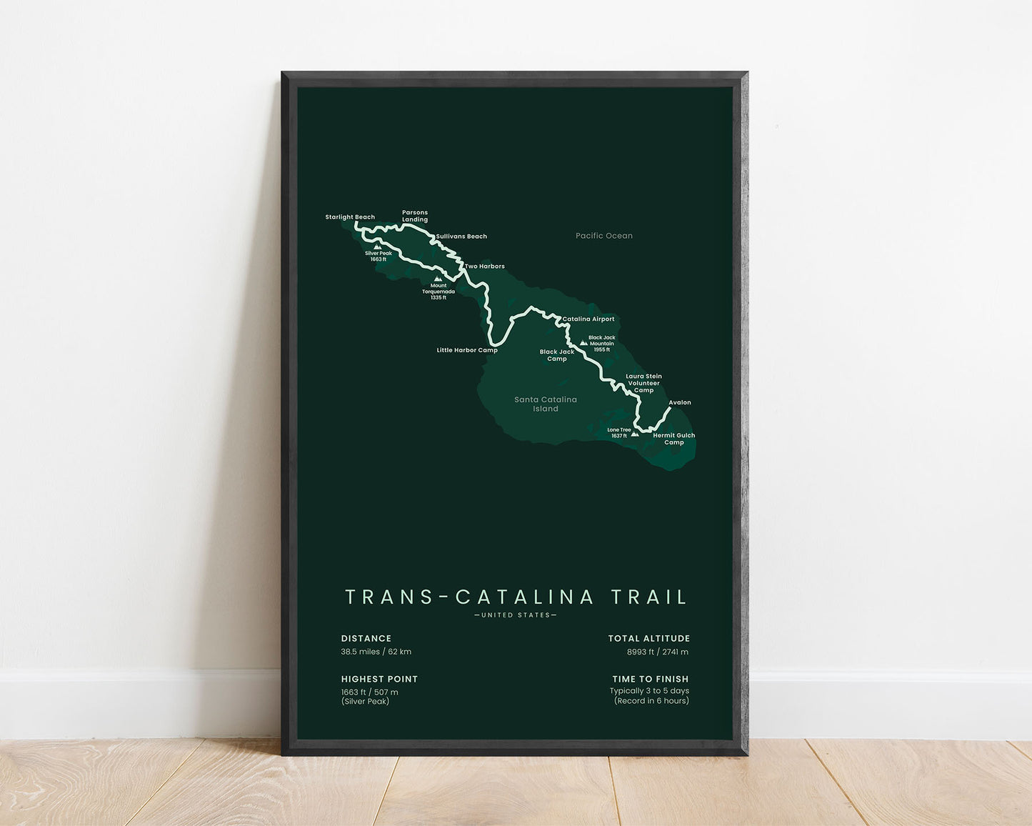 Trans-Catalina Trail (United States) path print with green background